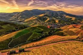 images (32)