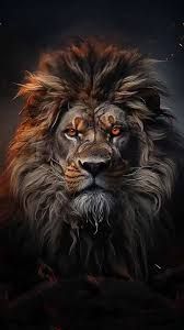 images (18)