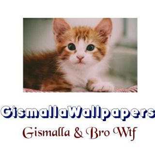 GismallaWallpapers cat