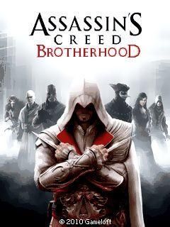 assinsin creed brotherhood