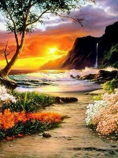 beautiful nature