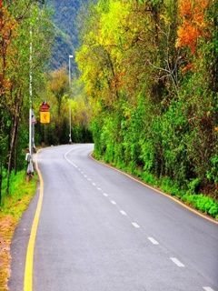 beauty of nature