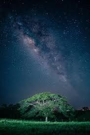 images (24)