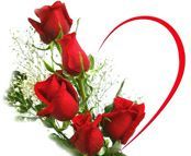 Roses And Heart