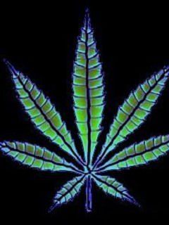 Cannabis 019 [240x320] (andrew lviv