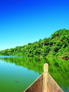 greennatur mylrtlh7