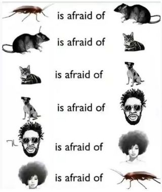 The cycle of life!