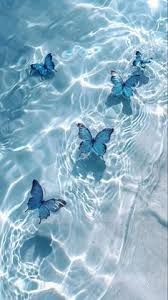 IMG Wallpaper