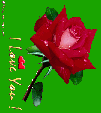 I love you