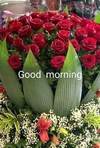 Good morning