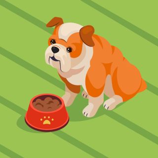 Cartoon Dog