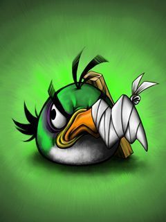 Angry bird