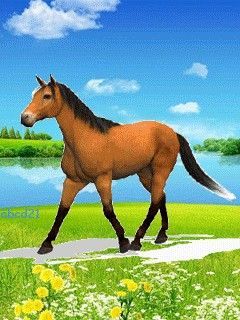 Horse