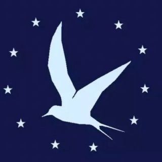 Holy Bird