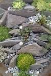 Rocks