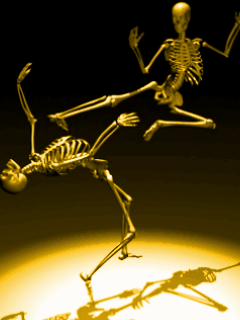IMAGE 24