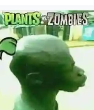 Plant boy