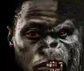 Zombie