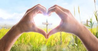 Love cross