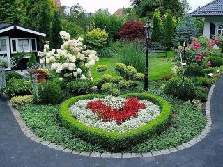 Beautiful garden