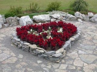 Heart shaped red flower
