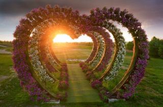 large tiered flower bed with heart shaped petunias sunset park 160152 2416