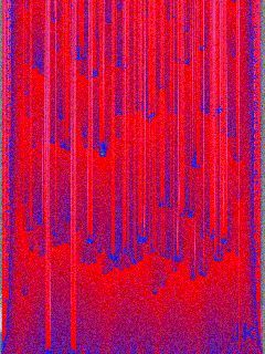50 4