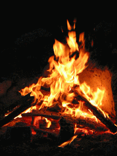 2.gif