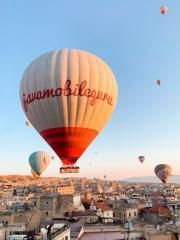 Hot air balloon