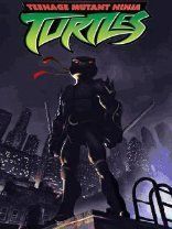 Teenage mutant Ninja turtles