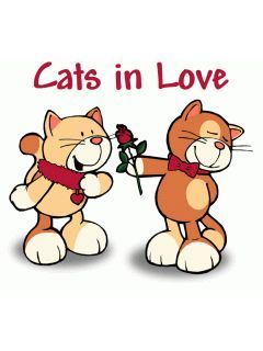 Cats in love