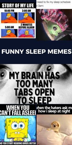 Meme