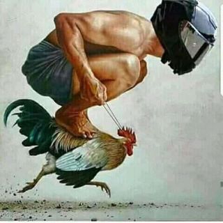 Chicken Flyover