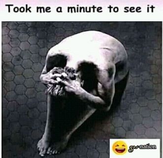 A Minute Skull Discovering
