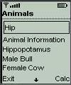 animals242146