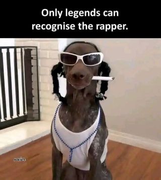 Rapper