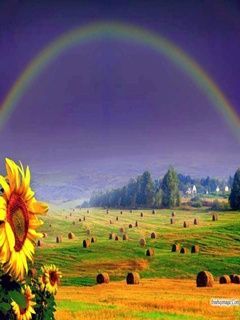 rainbowsun 2qkaf2ec