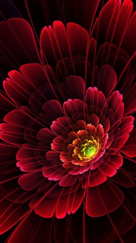 Flower designed