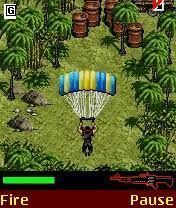 Rambo fir