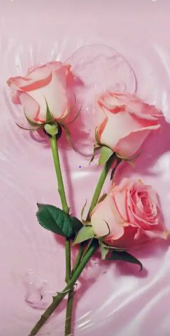pink flow