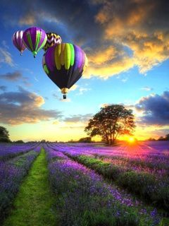beautiful