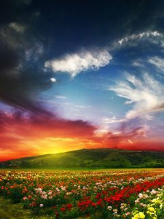 Bueaty of nature