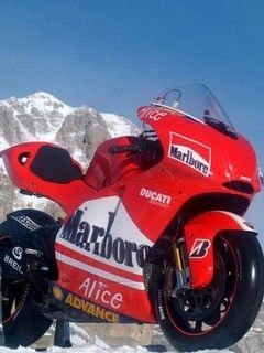 Marlboro bike