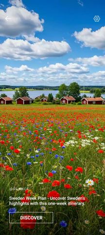 Beautiful flowers