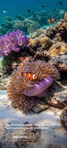 Ocean  fish