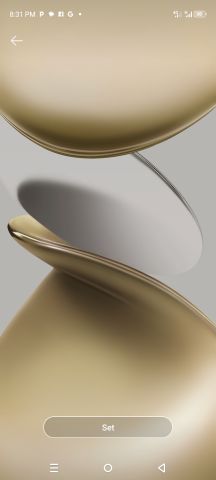 IMG (2)