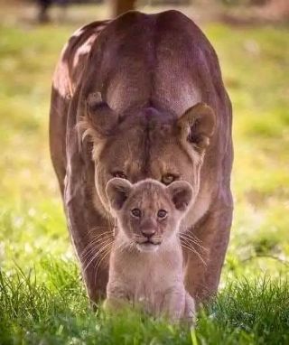 FB IMG 17
