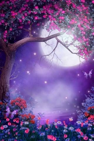 Moons beauty