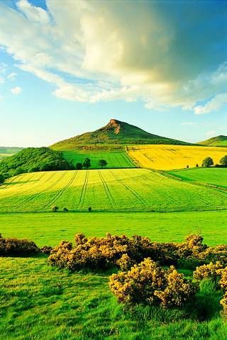 Agriculture