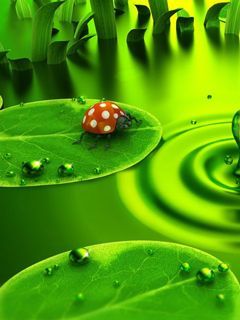 green nature 139449